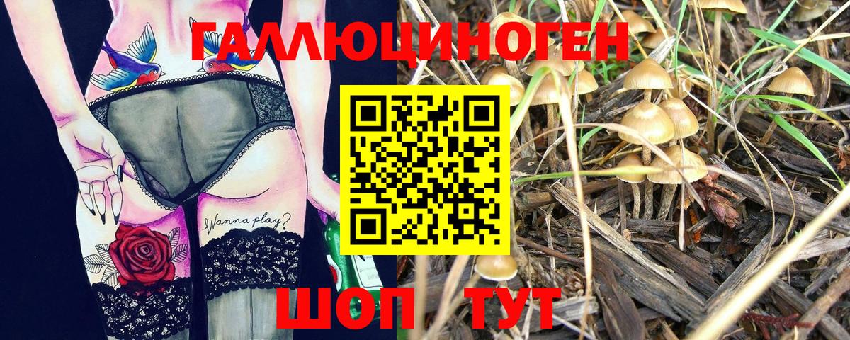 Галлюциногенные грибы прущие грибы  Псилоцибиновые грибы мицелий  Белебей  Вход с VPN 